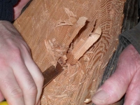 A very close-up view of the gouged wood chips. Photo: DC